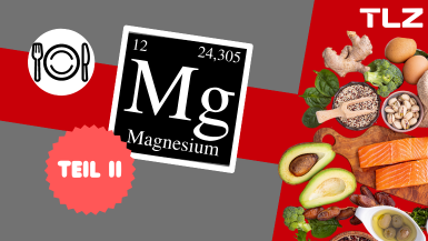 Magnesiumreiche Lebensmittel (Teil II)
